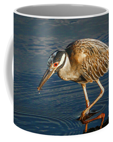 Heron Coffee Mug featuring the photograph Searching for Breakfast by Tom Claud