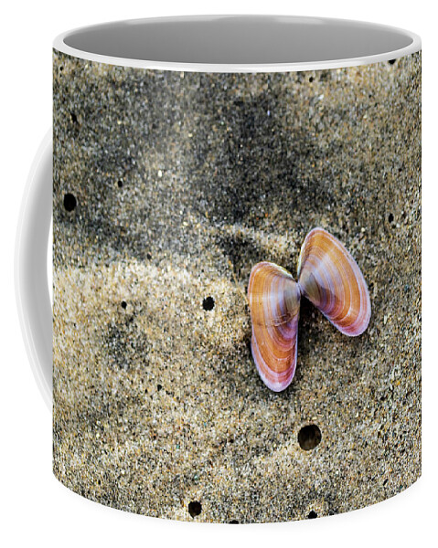 Sea Shell Coffee Mug featuring the photograph Landscape Photography - Beaches by Amelia Pearn
