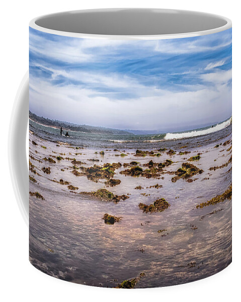 Seaweed Coffee Mug featuring the photograph Seaweed at Low Tide by Alison Frank