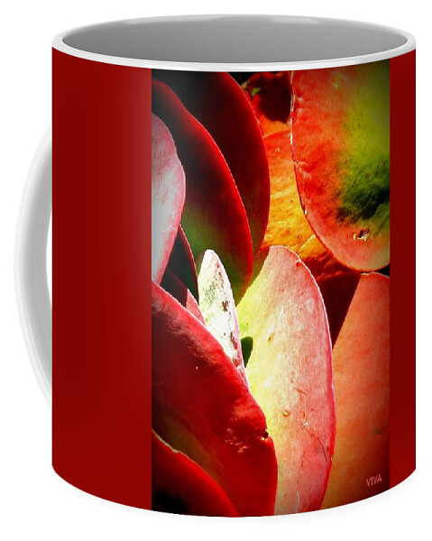 Cactus Coffee Mug featuring the photograph Secret Life Of Plants by VIVA Anderson
