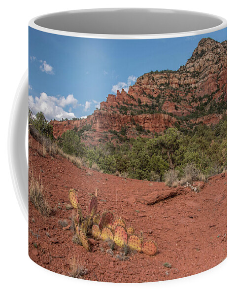 Sedona Coffee Mug featuring the photograph Sedona red rock and cacti by Alan Goldberg