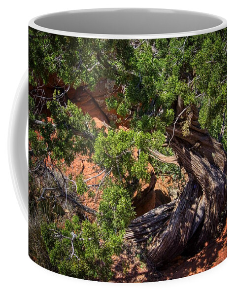 Sky Coffee Mug featuring the photograph Sedona Tree by Anthony Giammarino