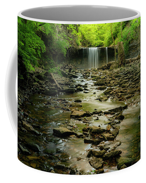 Waterfall Coffee Mug featuring the photograph Serene Waterfall by Arthur Oleary