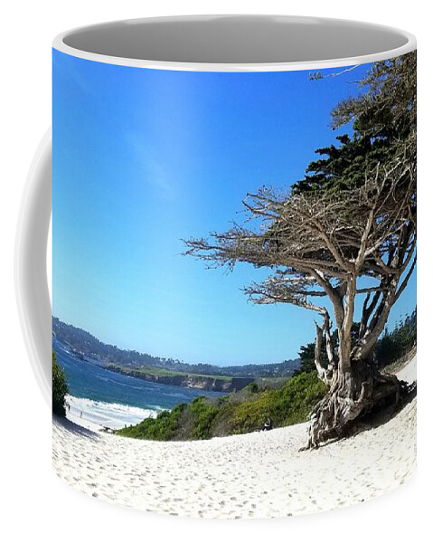 Tree Coffee Mug featuring the photograph Sacred Tree by Steed Edwards