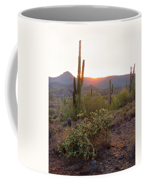 Tramonto Coffee Mug featuring the photograph Setting Sun by Gordon Beck