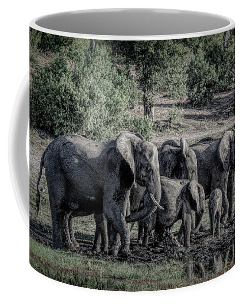 Elephant Coffee Mug featuring the digital art Shades of the Chobe by Douglas Wielfaert