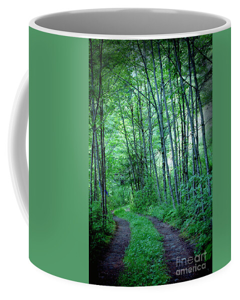 Forrest Coffee Mug featuring the photograph Shadow Mountain Road by Rich Collins