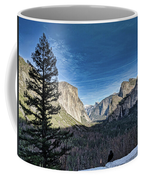 Mountain Coffee Mug featuring the photograph Shadows in the Valley by Portia Olaughlin