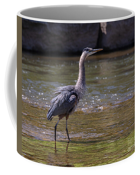 Photography Coffee Mug featuring the photograph Shake it off Blue by Alma Danison