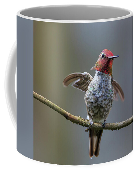 Animal Coffee Mug featuring the photograph Shake It Off by Briand Sanderson