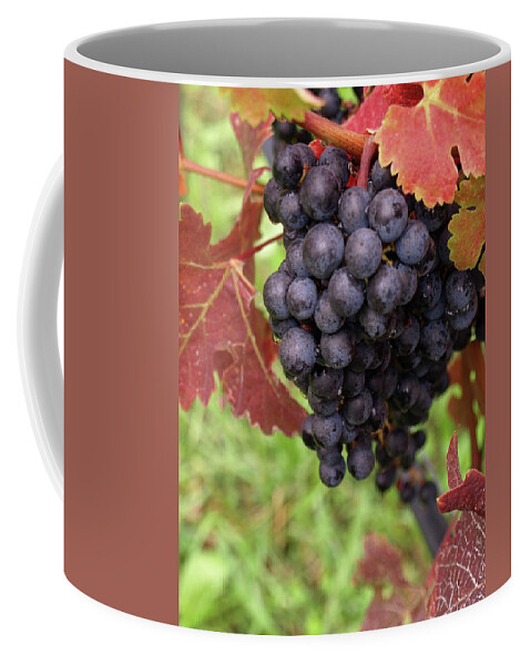 Grapes Coffee Mug featuring the photograph Shalestone - 1 by Jeffrey Peterson