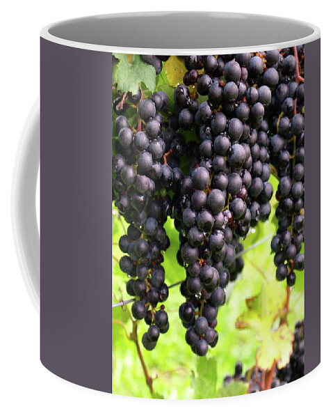 Grapes Coffee Mug featuring the photograph Shalestone - 8 by Jeffrey Peterson