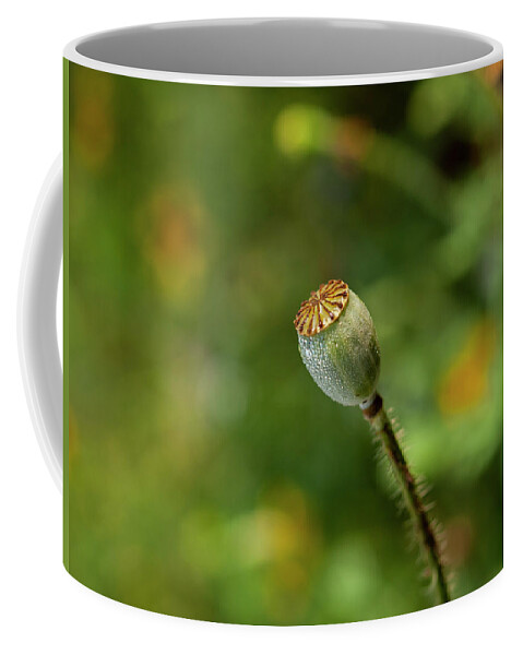 Shirley Poppy Coffee Mug featuring the photograph Shirley Poppy 2018-20 by Thomas Young