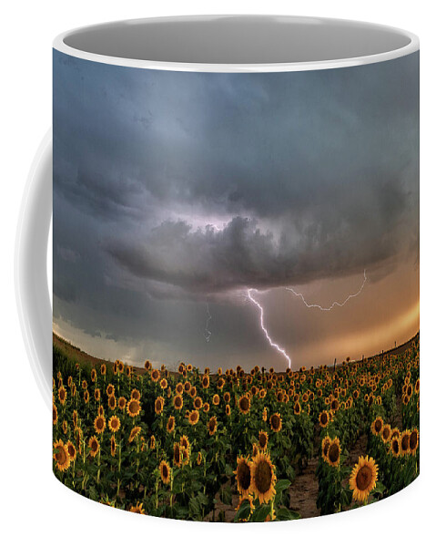Sunflowers Coffee Mug featuring the photograph Shocking Sunflowers by Tony Hake