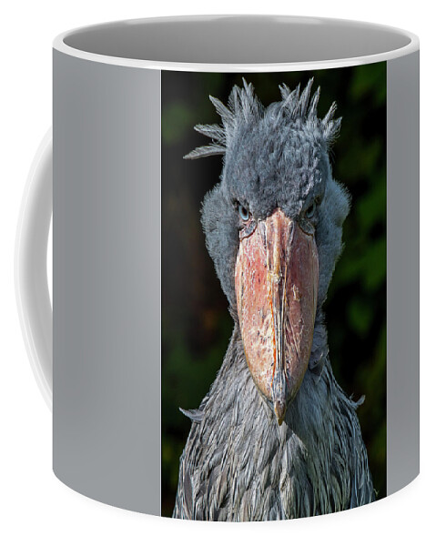 Shoebill Coffee Mug featuring the photograph Shoe-billed Stork by Arterra Picture Library