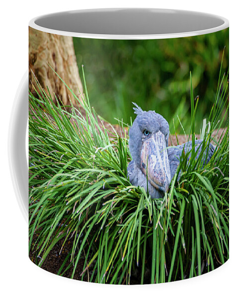 Shoebill Coffee Mug featuring the photograph Shoebill Stork Nesting by Anthony Jones