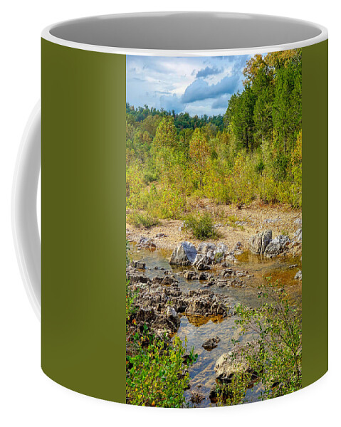 Johnson's Coffee Mug featuring the photograph Shut-Ins State Park Study 1 by Robert Meyers-Lussier