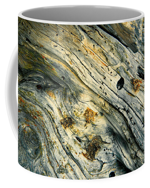 Abstracts Coffee Mug featuring the photograph Silent Resting on Islands by Marilyn Cornwell