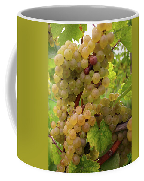 Grapes Coffee Mug featuring the photograph Silver Thread - 4 by Jeffrey Peterson