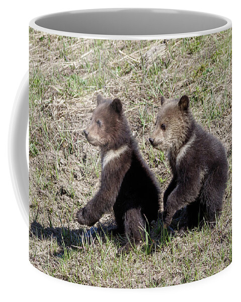 Grizzly Coffee Mug featuring the photograph Simon says by Ronnie And Frances Howard