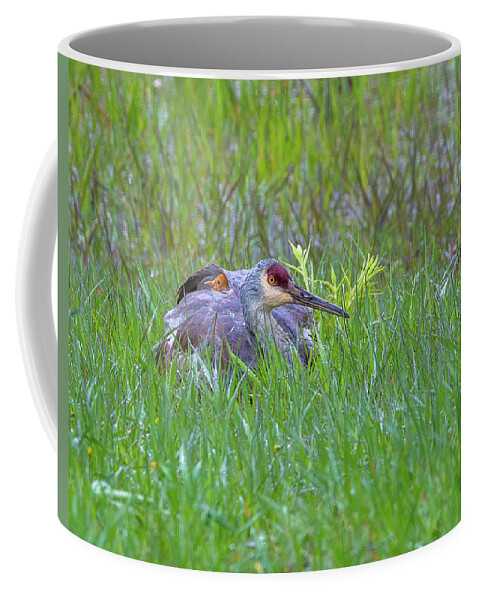 2019 Coffee Mug featuring the photograph Single For Now by Kevin Dietrich