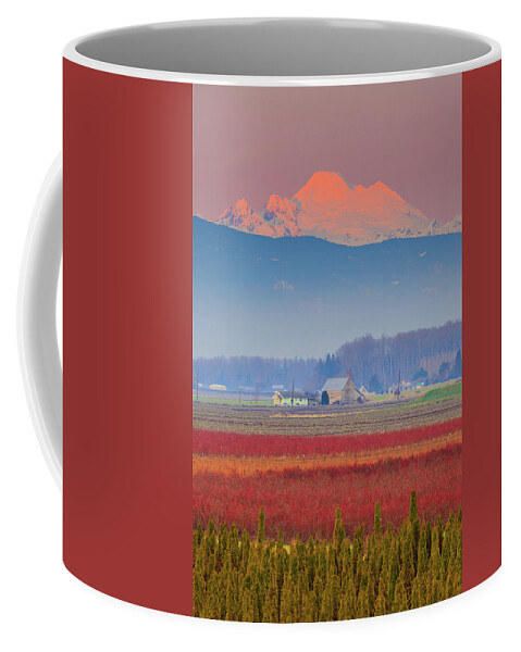 Skagit Valley Coffee Mug featuring the photograph Skagit Sunset by Briand Sanderson