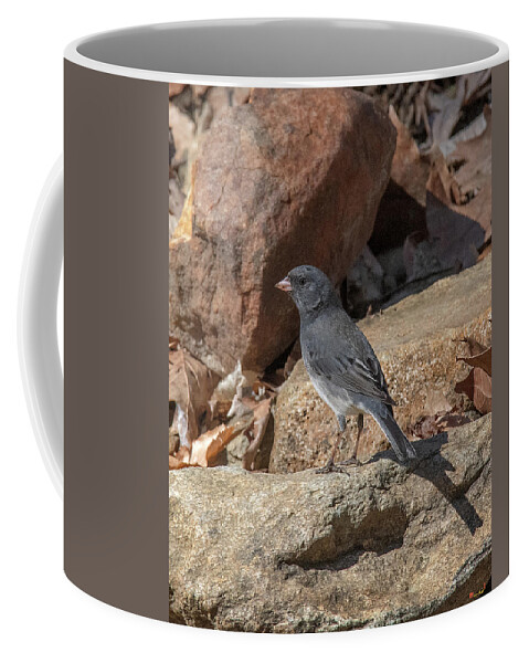 Nature Coffee Mug featuring the photograph Slate-colored Junco DSB0339 by Gerry Gantt