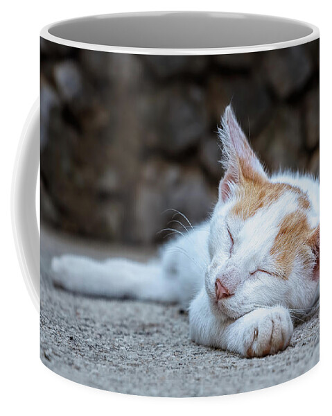 Animal Coffee Mug featuring the photograph Sleeping Kitty by Rick Deacon