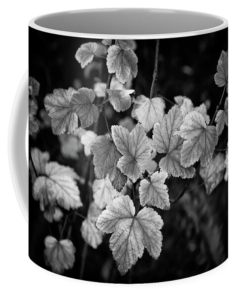 Leaf Coffee Mug featuring the photograph Slipping Into Fall by Steven Clark