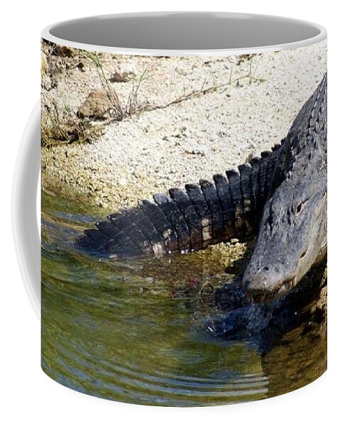 Florida Coffee Mug featuring the photograph Sly Gator by Lindsey Floyd