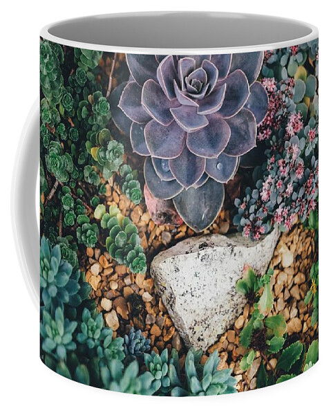 Cute Coffee Mug featuring the photograph Small succulent garden by Top Wallpapers