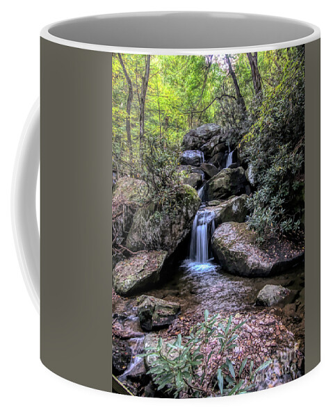 South Mountain State Park Coffee Mug featuring the digital art Small Waterfall at South Mountain State Park by Amy Dundon