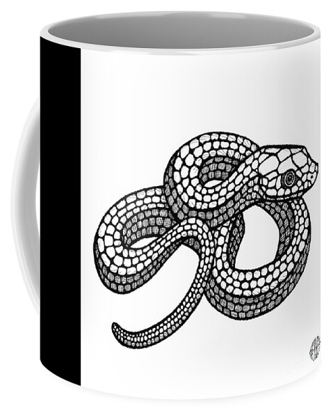 Snake Coffee Mug featuring the drawing Smooth Green Snake by Amy E Fraser