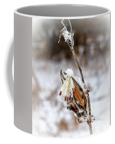 Steve Harrington Coffee Mug featuring the photograph Snow Covered Milkweed - Vignette by Steve Harrington