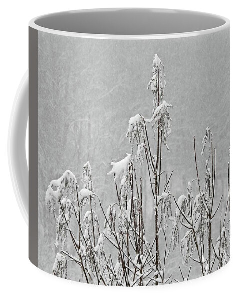 Winter Coffee Mug featuring the photograph Snow Dance by Kathy Ozzard Chism