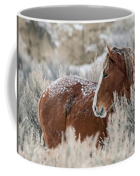 Sand Wash Basin Coffee Mug featuring the photograph Snow Dusted Mustang Stallion by Dawn Key