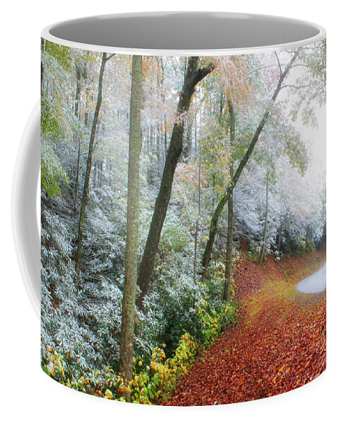 Art Prints Coffee Mug featuring the photograph Snow Line by Nunweiler Photography