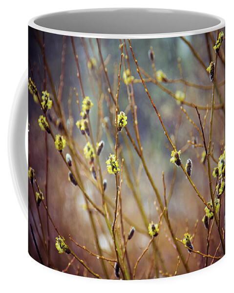 Flowers Coffee Mug featuring the photograph Snowfall on Budding Willows by Laura Roberts