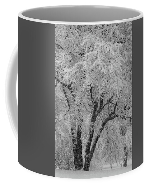 Snow Coffee Mug featuring the photograph Snowfall Scene by Mary Anne Delgado