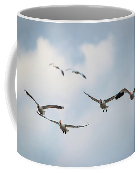 Squaw Creek Nwr Coffee Mug featuring the photograph Snows on Approach by Jeff Phillippi