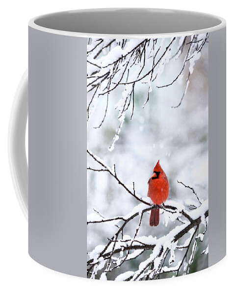 Cardinal Coffee Mug featuring the photograph Snowstorm in Virginia by Rachel Morrison