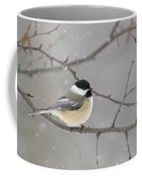 Chickadee Coffee Mug featuring the photograph Snowy Chickadee by Brook Burling
