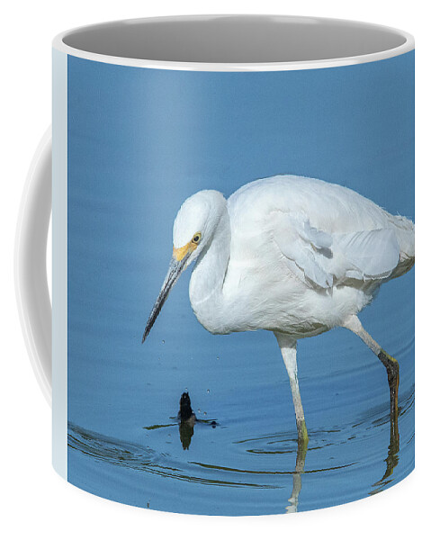 Nature Coffee Mug featuring the photograph Snowy Egret DMSB0180 by Gerry Gantt