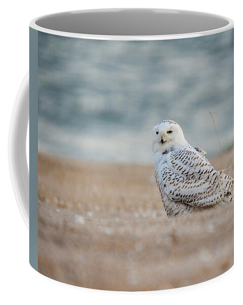Owl Coffee Mug featuring the photograph Snowy Owl 5872 by Cathy Kovarik