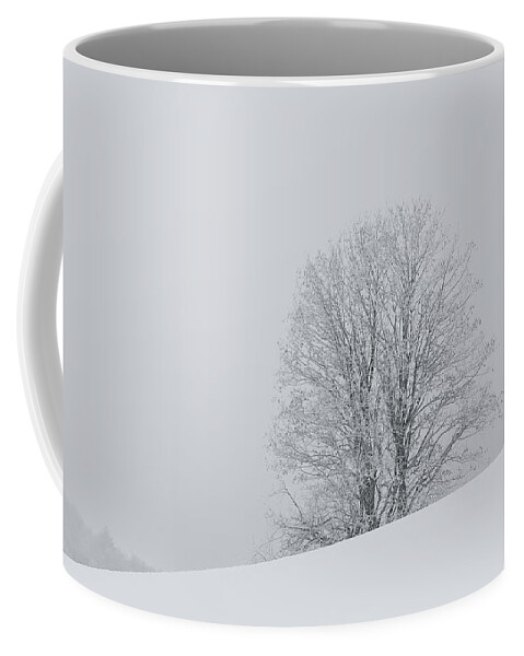 Tree Coffee Mug featuring the photograph Snowy tree - 6 by Paul MAURICE