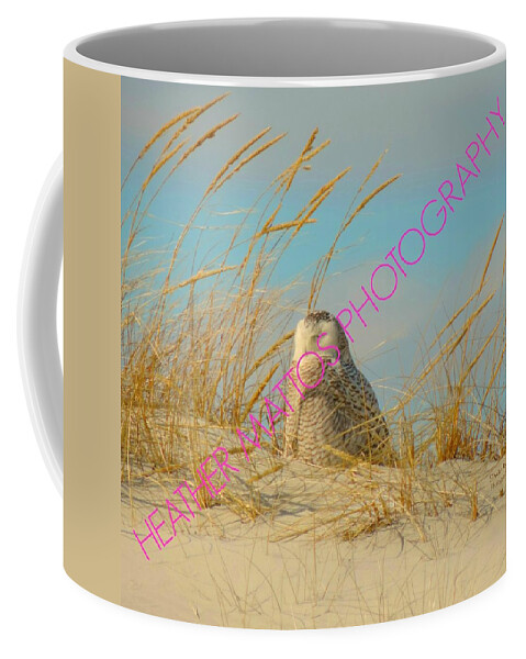 Snowy White Owl Coffee Mug featuring the photograph Snowy White Owl - Plymouth, MA by Heather M Photography