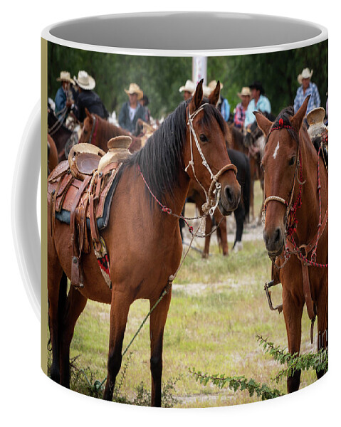 Horses Coffee Mug featuring the photograph So, Nu by Barry Weiss