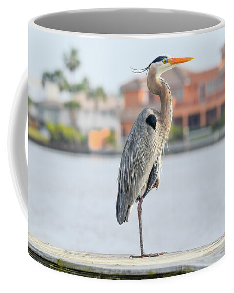Heron Coffee Mug featuring the photograph Soaking up the Sun by Christopher Rice