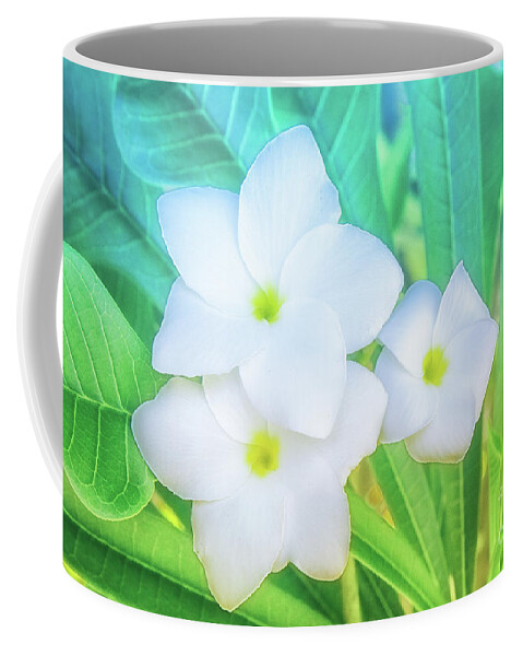 Botanical Coffee Mug featuring the photograph Soft and Light 12 by Becqi Sherman