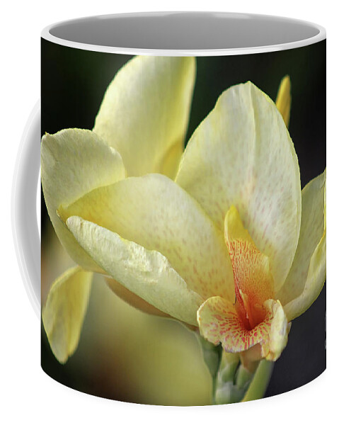 Canna Lily Coffee Mug featuring the photograph Softly Speckled by Karen Adams